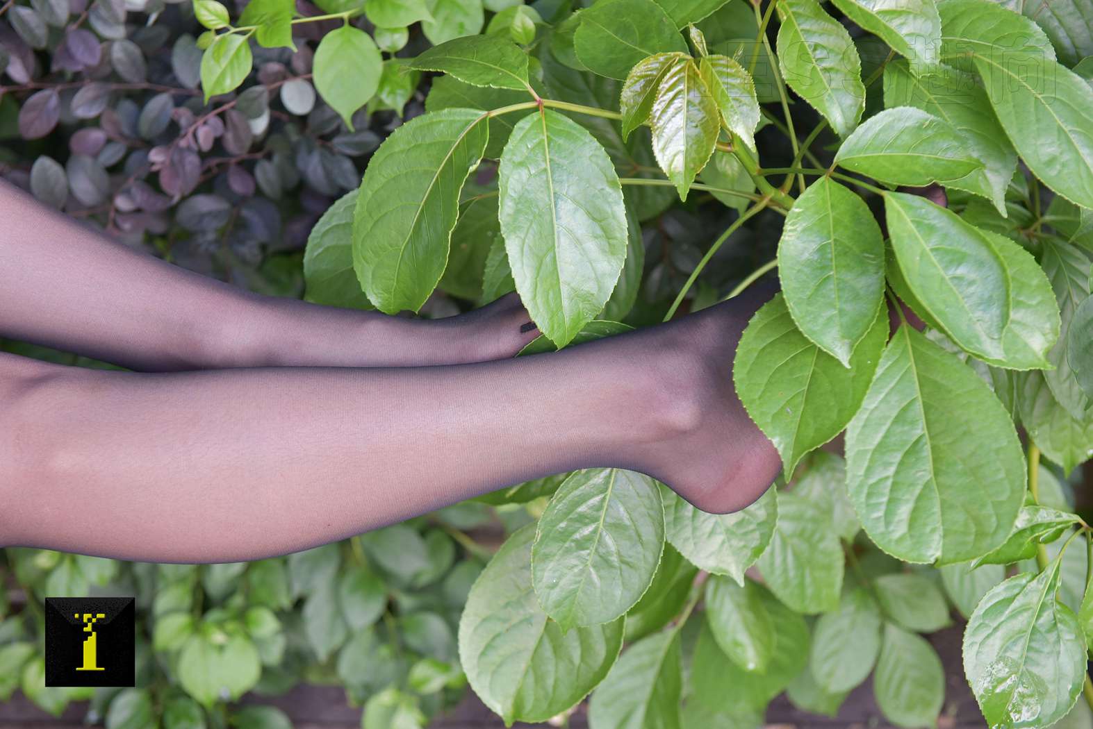 图片[27]-[IESS异思趣向] 普惠集 104-小六职业装II—特写 在线浏览 – 速更版-美库