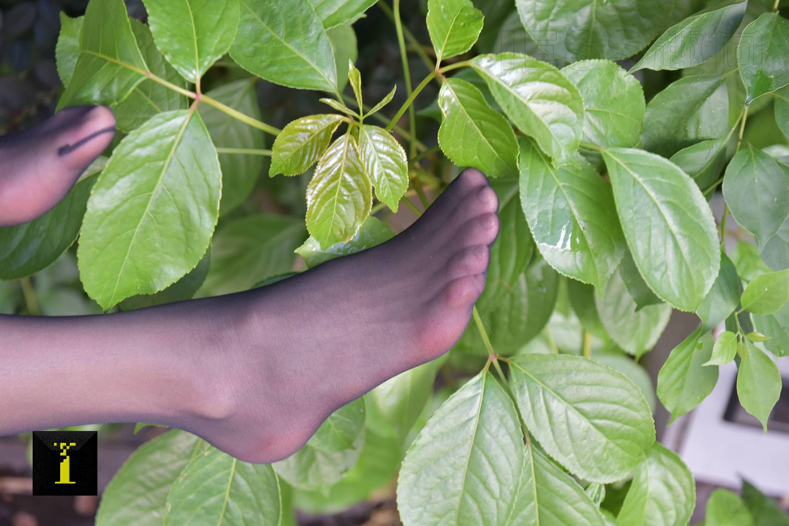 图片[65]-[IESS异思趣向] 普惠集 104-小六职业装II—特写 在线浏览 – 速更版-美库