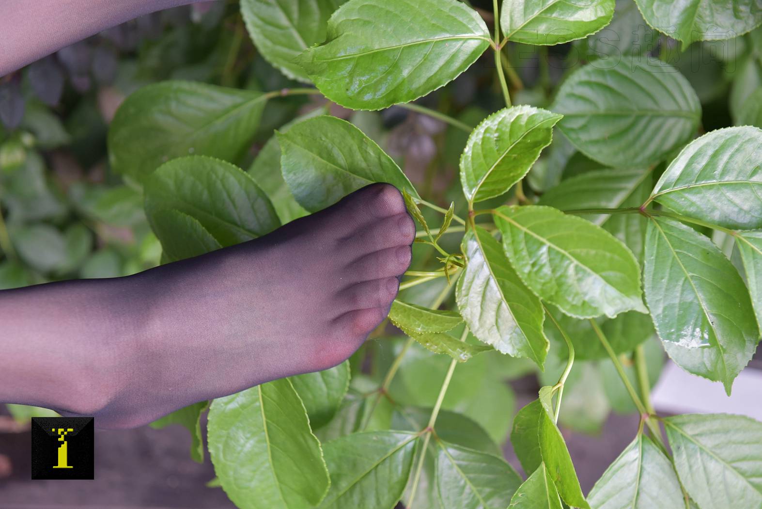 图片[61]-[IESS异思趣向] 普惠集 104-小六职业装II—特写 在线浏览 – 速更版-美库