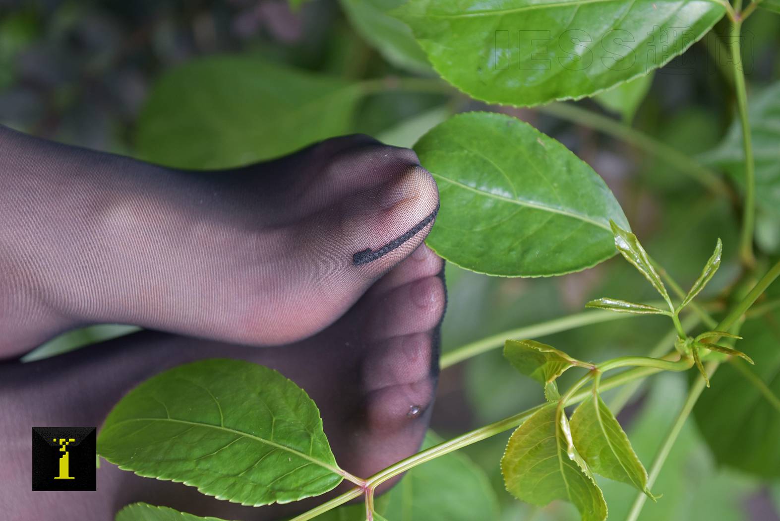 图片[43]-[IESS异思趣向] 普惠集 104-小六职业装II—特写 在线浏览 – 速更版-美库