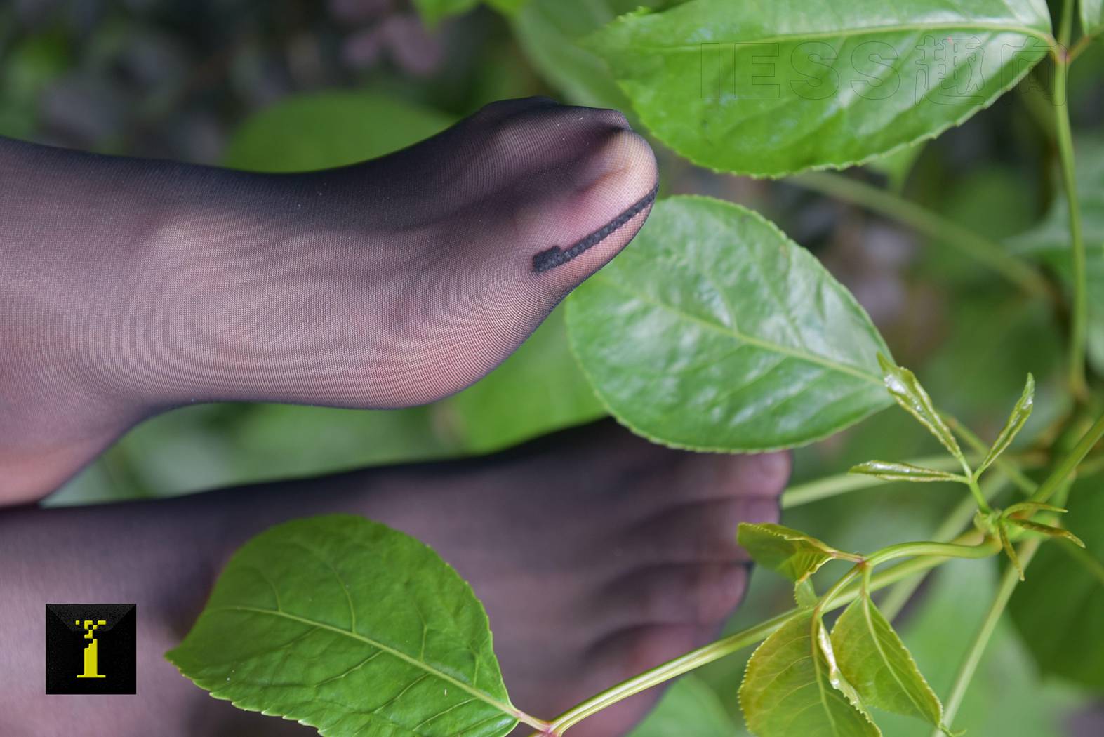 图片[50]-[IESS异思趣向] 普惠集 104-小六职业装II—特写 在线浏览 – 速更版-美库