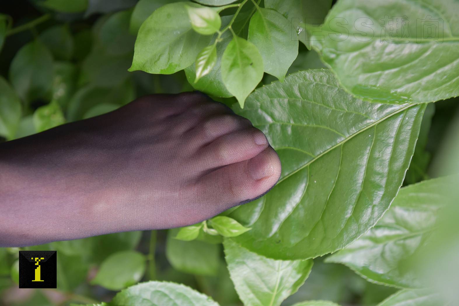 图片[75]-[IESS异思趣向] 普惠集 104-小六职业装II—特写 在线浏览 – 速更版-美库