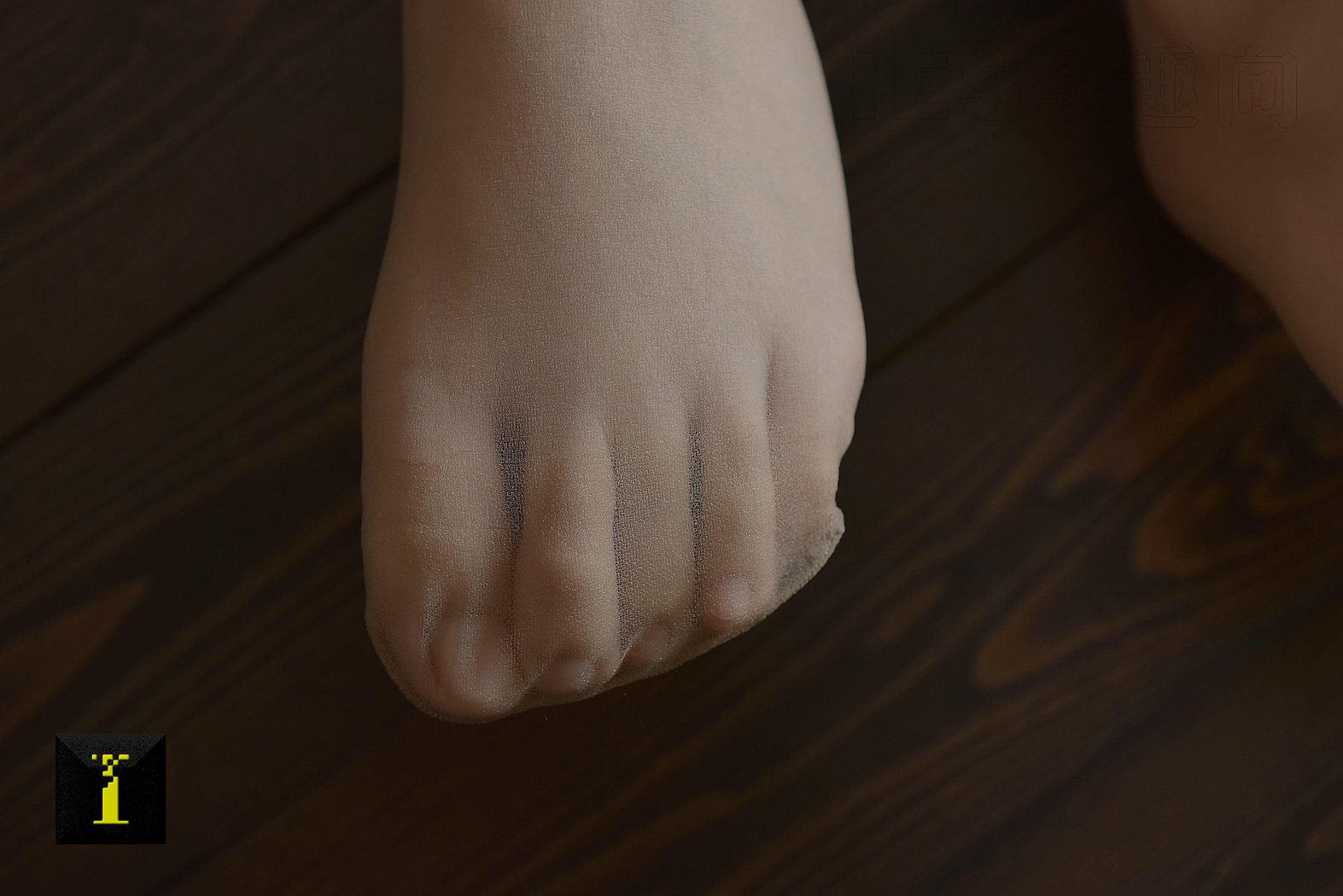 图片[57]-[IESS异思趣向] 普惠集 110 馨月-馨月的肉丝足 在线浏览 – 速更版-美库