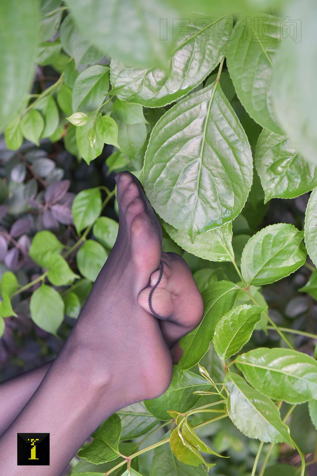 图片[21]-[IESS异思趣向] 普惠集 104-小六职业装II—特写 在线浏览 – 速更版-美库