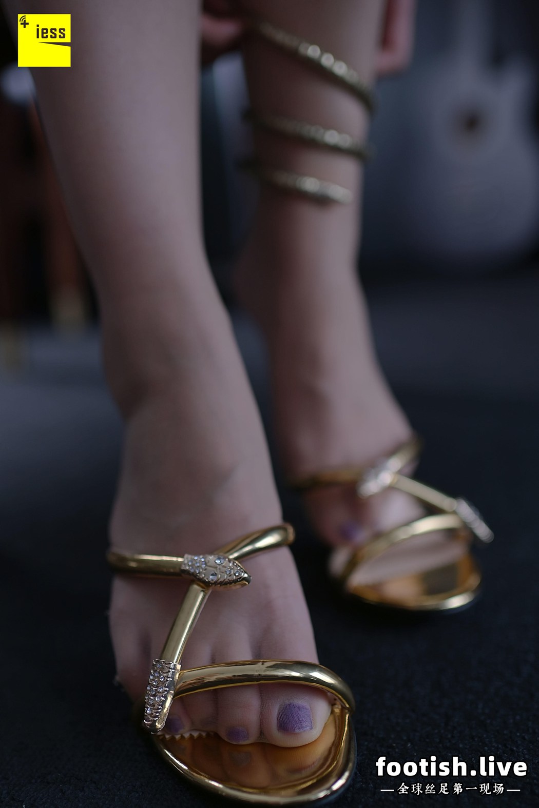 图片[4]-[IESS异思趣向] 普惠集 146 丢丢 丢丢的脚 在线浏览 – 速更版-美库