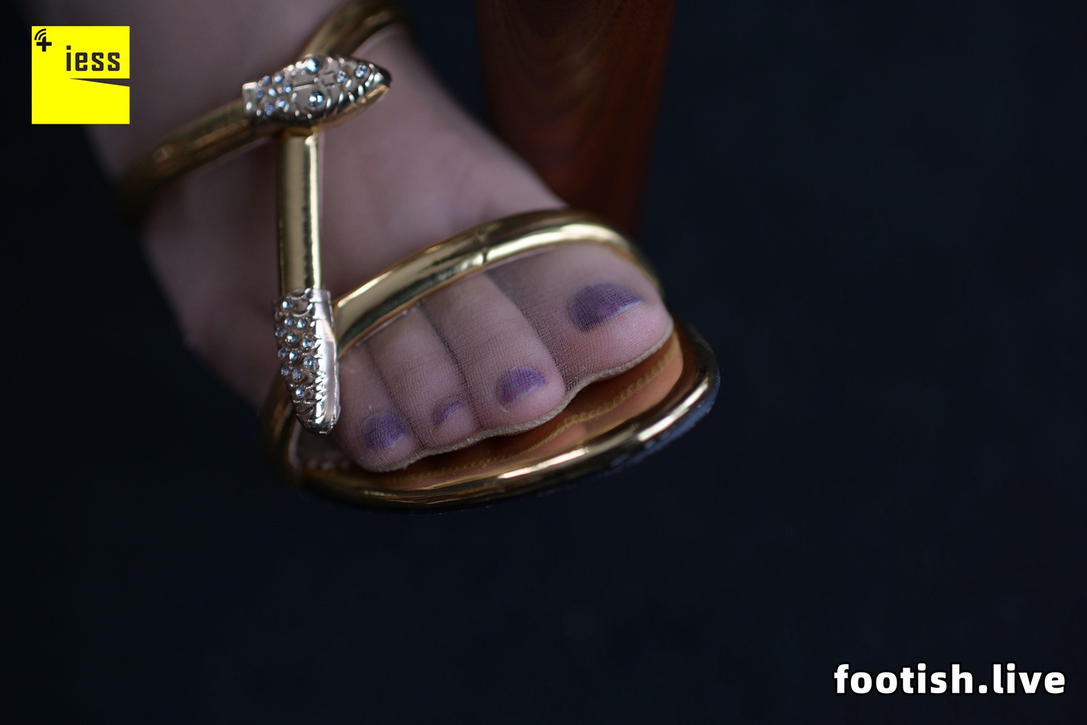 图片[36]-[IESS异思趣向] 普惠集 146 丢丢 丢丢的脚 在线浏览 – 速更版-美库