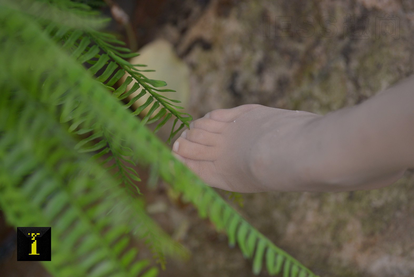 图片[39]-[IESS异思趣向] 普惠集 153 阿离-最纯情的34码小白鞋 在线浏览 – 速更版-美库