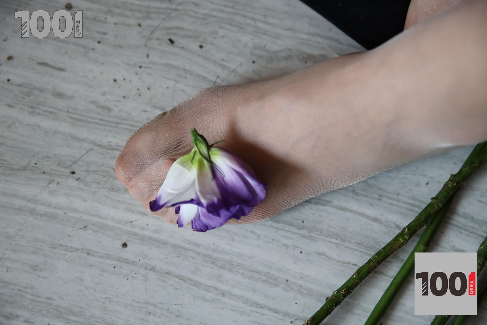 图片[78]-[IESS异思趣向] 一千零一夜 NO.052《花艺师3》在线浏览 – 速更版-美库