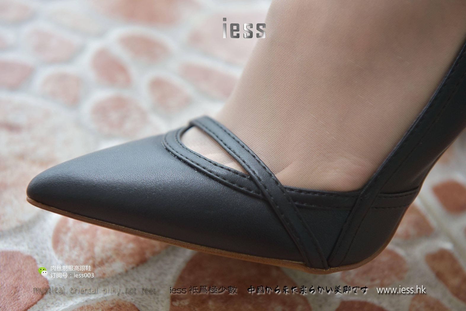 图片[42]-[IESS异思趣向] 2017.05.18 丝享家009：《皮裙与肉丝》秋秋 在线浏览 – 速更版-美库