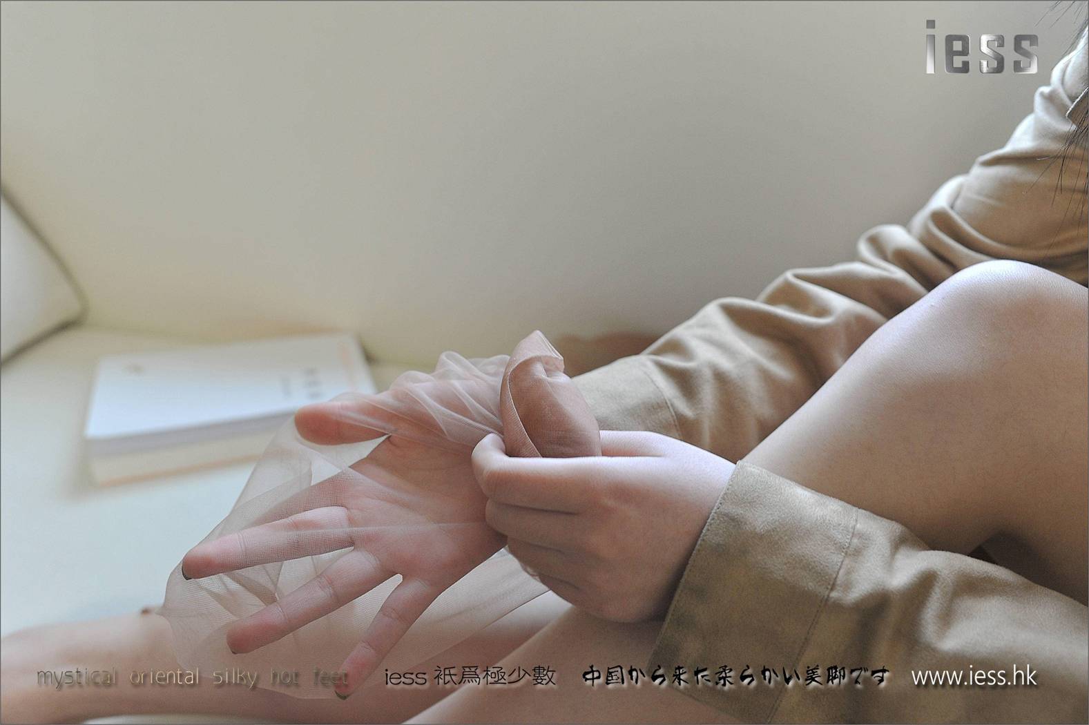 图片[3]-[IESS异思趣向] 2017.05.09 丝享家003：《无弹力纯尼龙肉色丝袜》柚子 在线浏览 – 速更版-美库