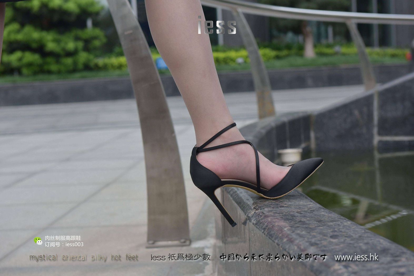 图片[70]-[IESS异思趣向] 2017.05.23 丝享家013：《换上丝袜上班去！》欣欣 在线浏览 – 速更版-美库