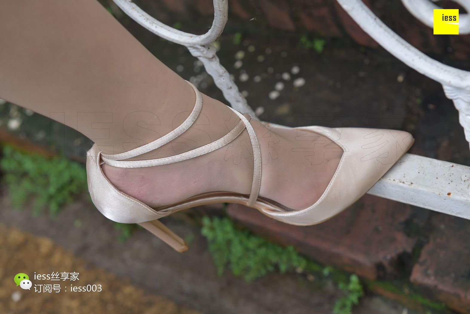 图片[10]-[IESS异思趣向] 2017.07.18 丝享家024：《雨过天晴丝袜香》墨轩 在线浏览 – 速更版-美库