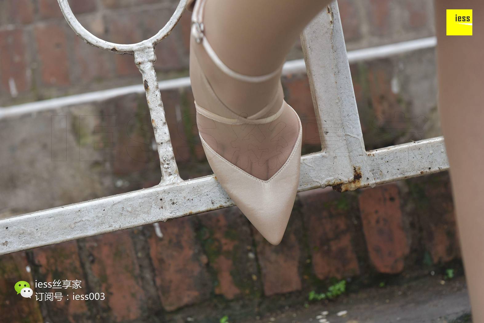 图片[8]-[IESS异思趣向] 2017.07.18 丝享家024：《雨过天晴丝袜香》墨轩 在线浏览 – 速更版-美库