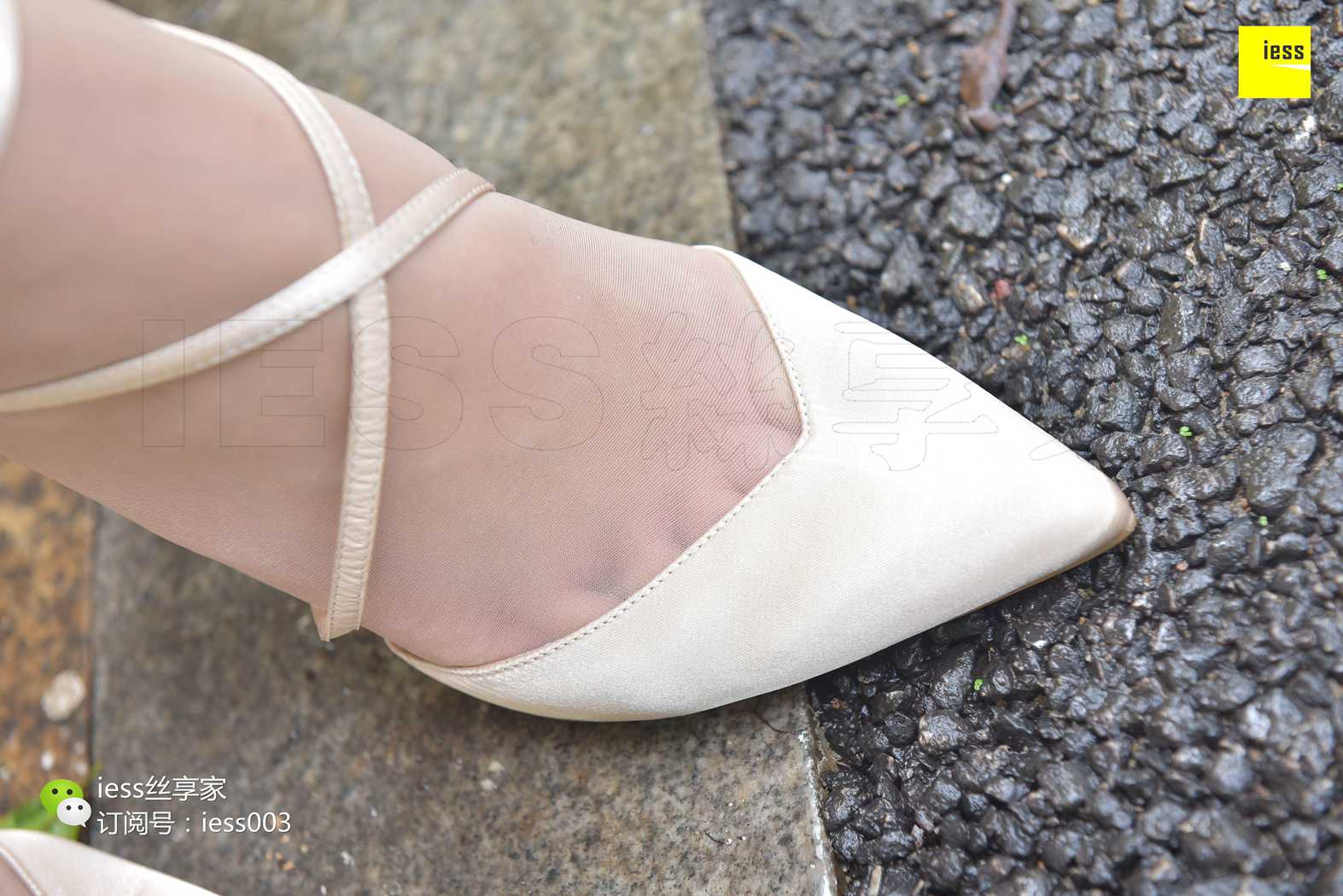 图片[49]-[IESS异思趣向] 2017.07.18 丝享家024：《雨过天晴丝袜香》墨轩 在线浏览 – 速更版-美库