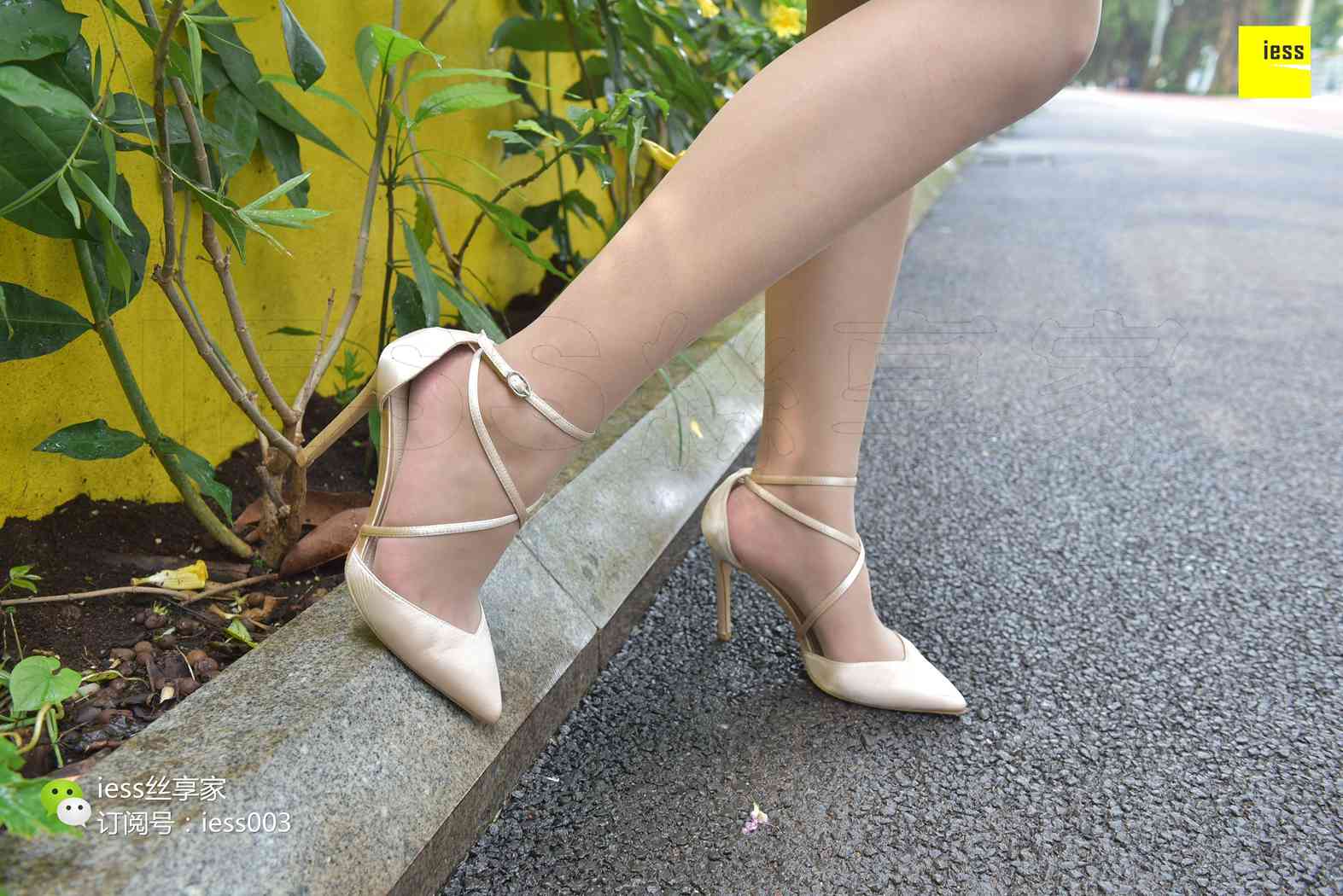 图片[67]-[IESS异思趣向] 2017.07.18 丝享家024：《雨过天晴丝袜香》墨轩 在线浏览 – 速更版-美库