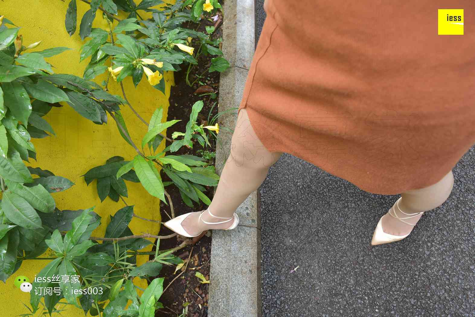 图片[93]-[IESS异思趣向] 2017.07.18 丝享家024：《雨过天晴丝袜香》墨轩 在线浏览 – 速更版-美库