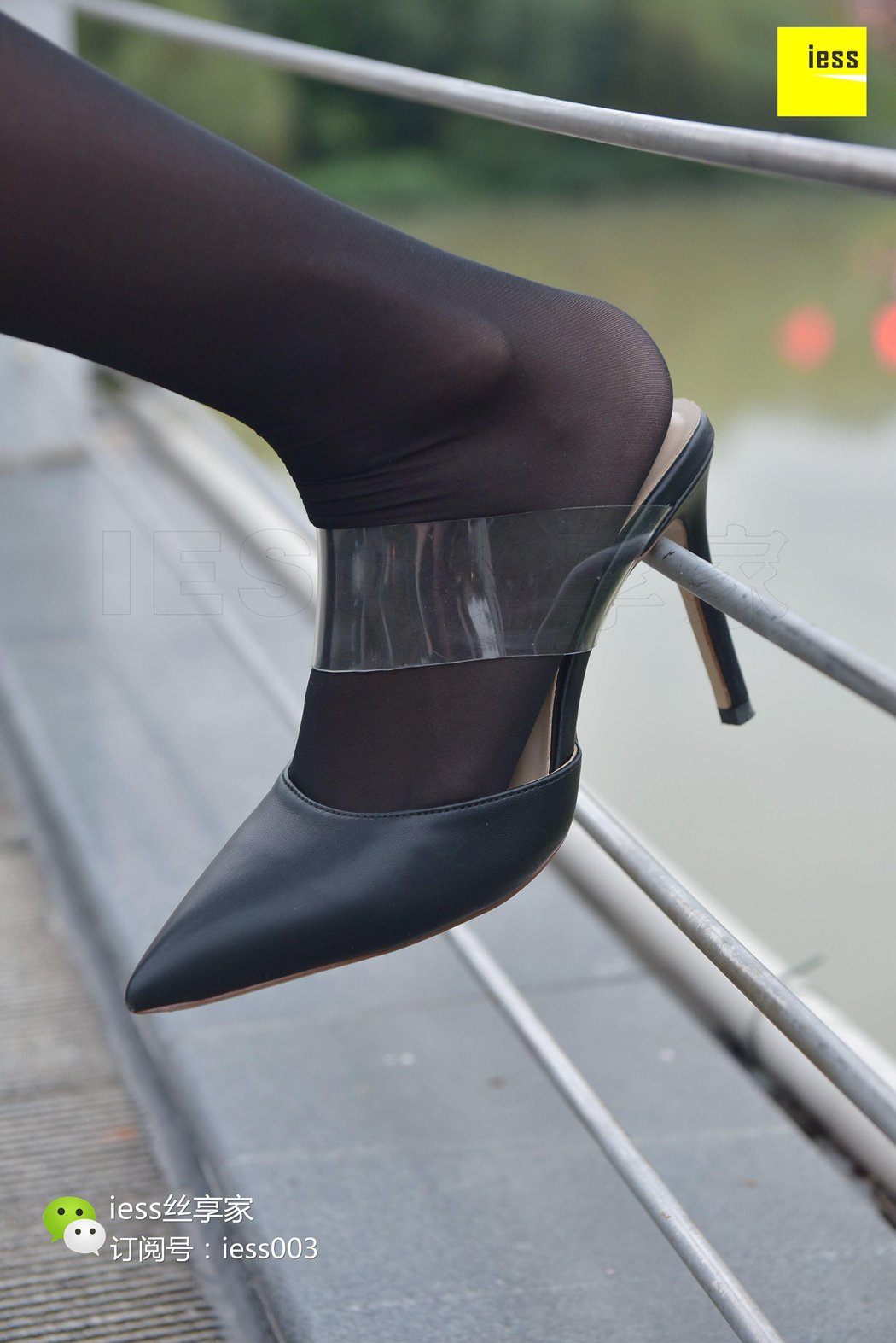 图片[81]-[IESS异思趣向] 2017.07.25 丝享家029：《小桥流水黑丝》婉萍 在线浏览 – 速更版-美库