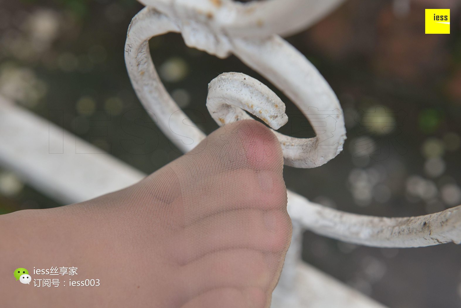 图片[91]-[IESS异思趣向] 2017.07.18 丝享家024：《雨过天晴丝袜香》墨轩 在线浏览 – 速更版-美库