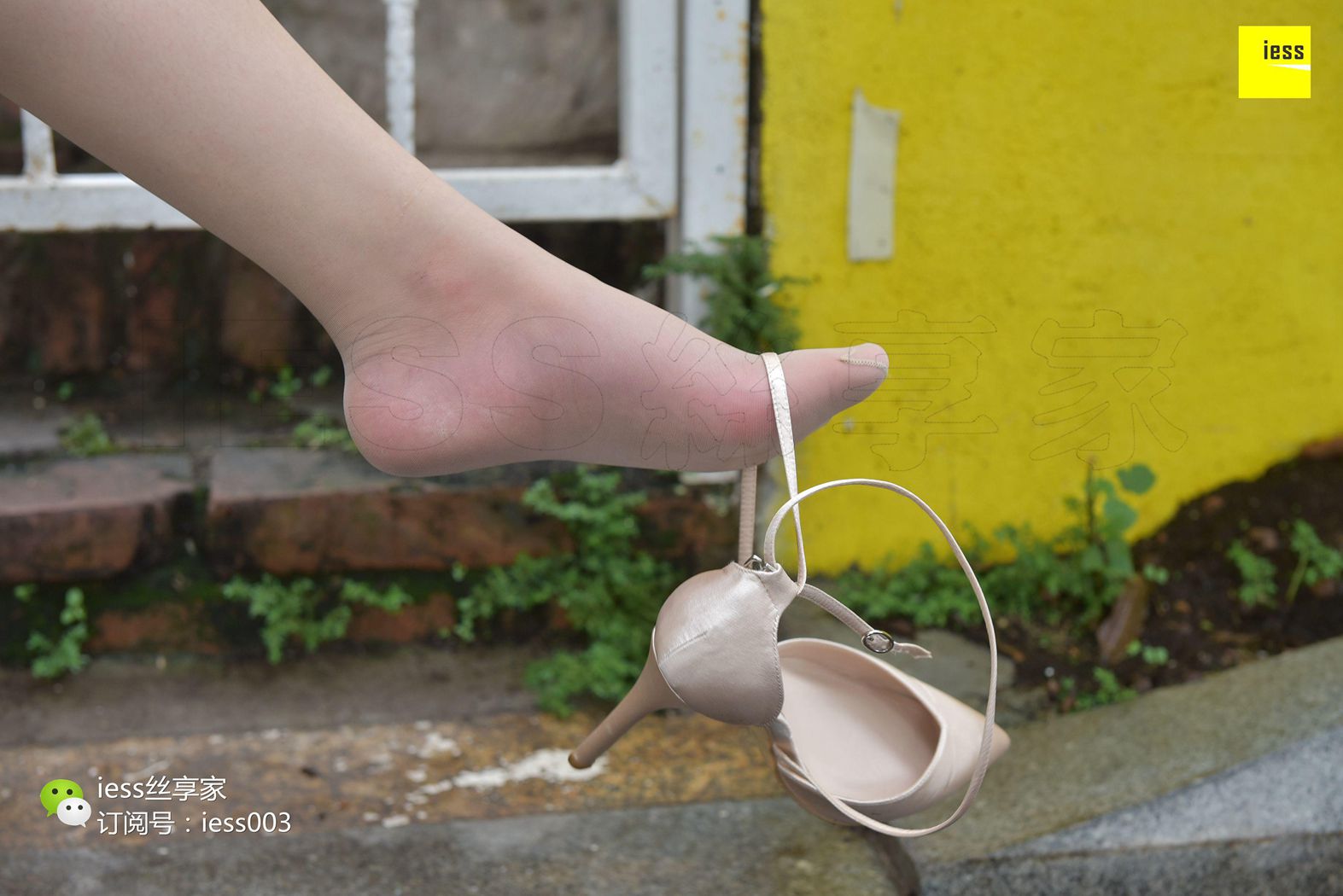 图片[42]-[IESS异思趣向] 2017.07.18 丝享家024：《雨过天晴丝袜香》墨轩 在线浏览 – 速更版-美库