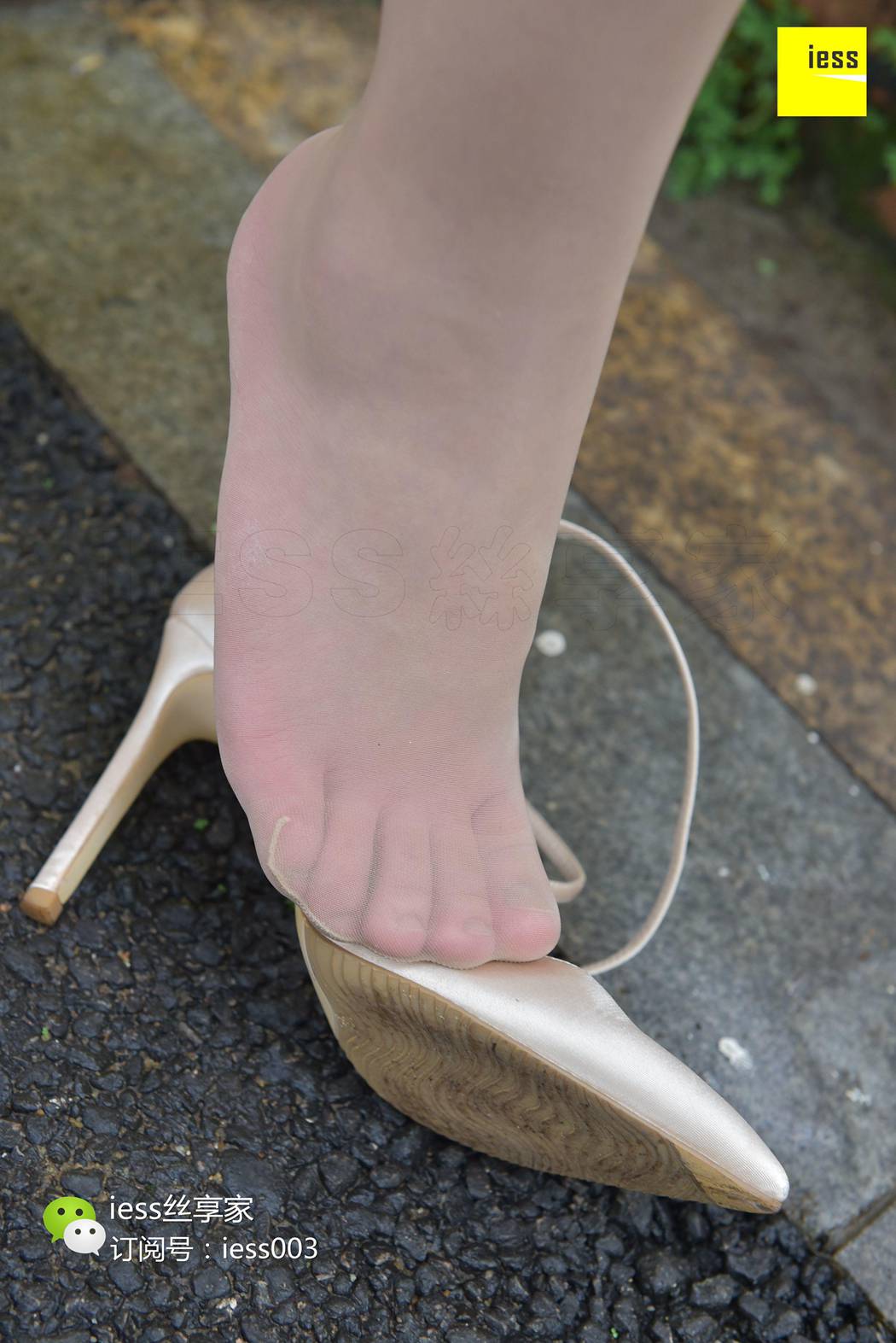 图片[6]-[IESS异思趣向] 2017.07.18 丝享家024：《雨过天晴丝袜香》墨轩 在线浏览 – 速更版-美库