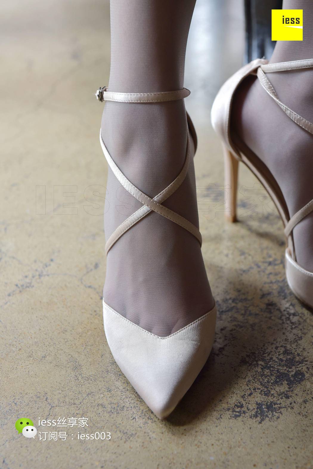 图片[24]-[IESS异思趣向] 2017.08.21 丝享家047：《没有什么比灰丝更性感的了》七七 在线浏览 – 速更版-美库