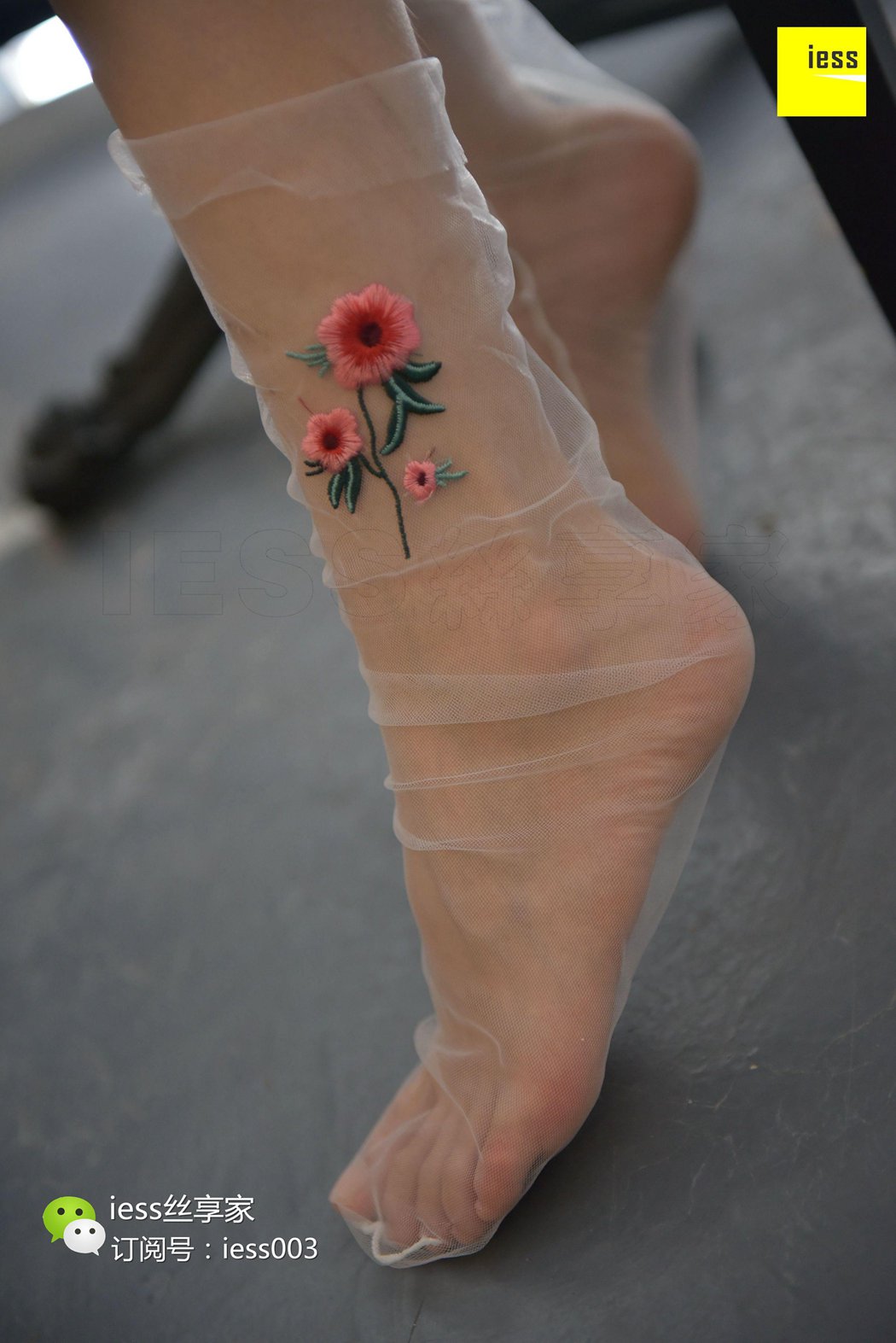 图片[18]-[IESS异思趣向] 2017.08.24 丝享家050：《佳佳佳爷》佳佳 在线浏览 – 速更版-美库