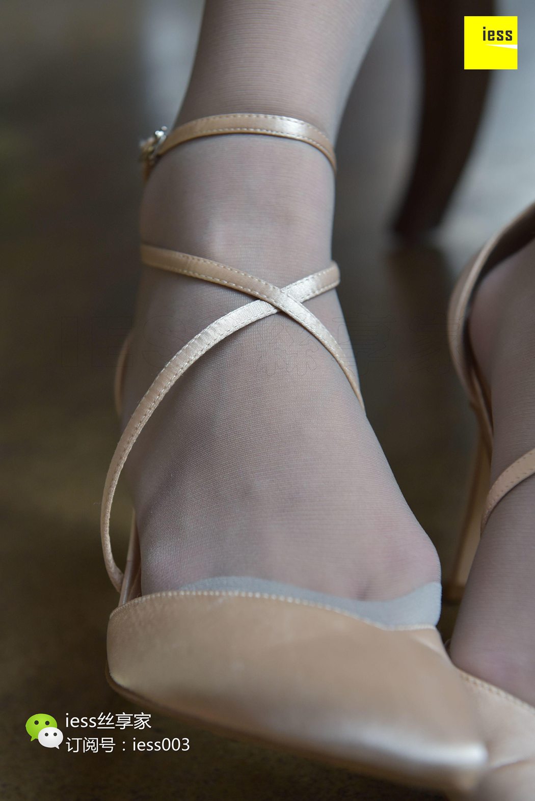 图片[50]-[IESS异思趣向] 2017.08.21 丝享家047：《没有什么比灰丝更性感的了》七七 在线浏览 – 速更版-美库