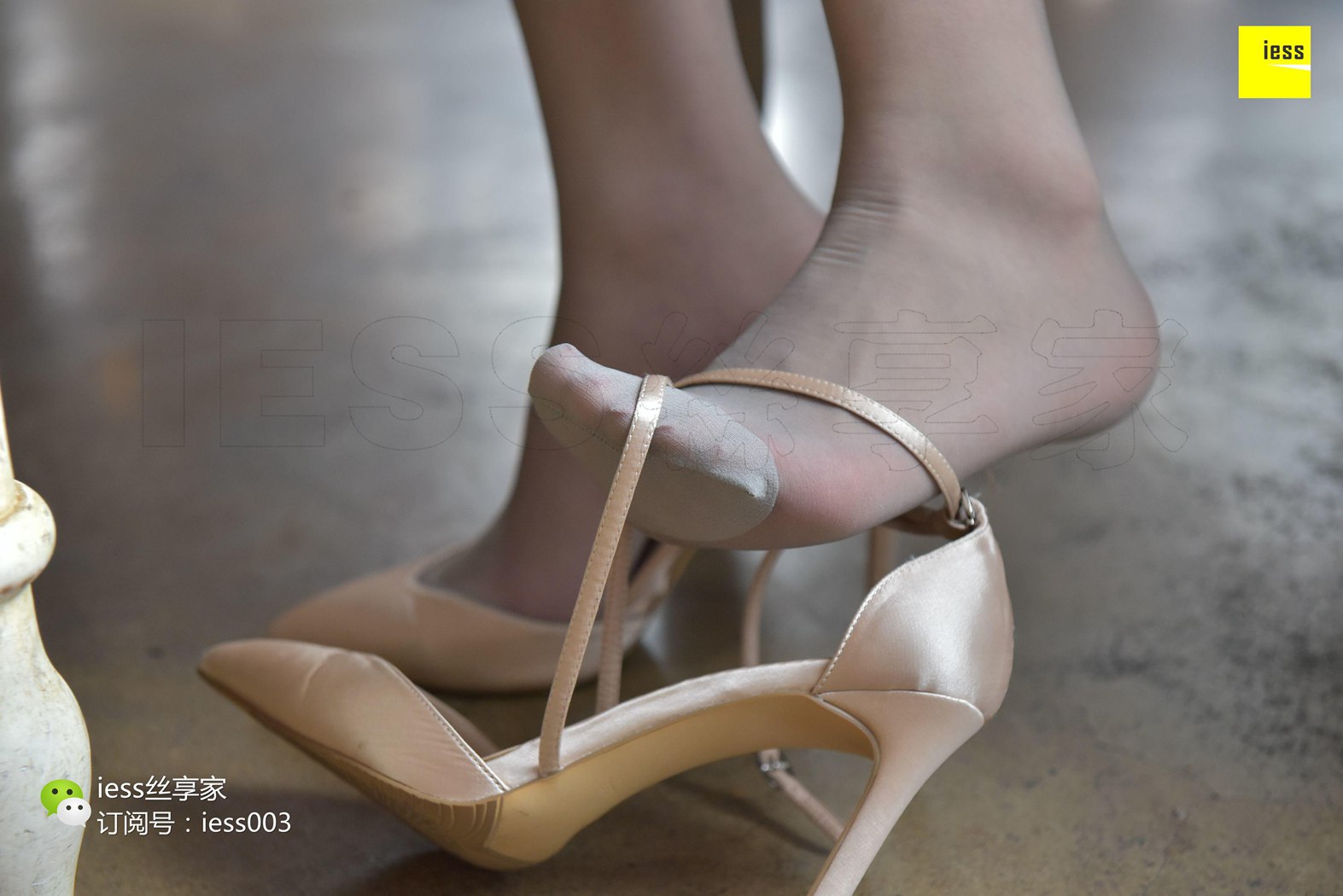 图片[41]-[IESS异思趣向] 2017.08.21 丝享家047：《没有什么比灰丝更性感的了》七七 在线浏览 – 速更版-美库