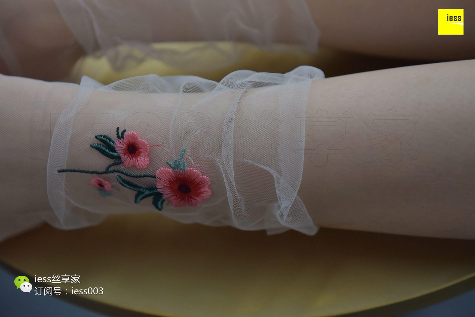 图片[25]-[IESS异思趣向] 2017.08.24 丝享家050：《佳佳佳爷》佳佳 在线浏览 – 速更版-美库