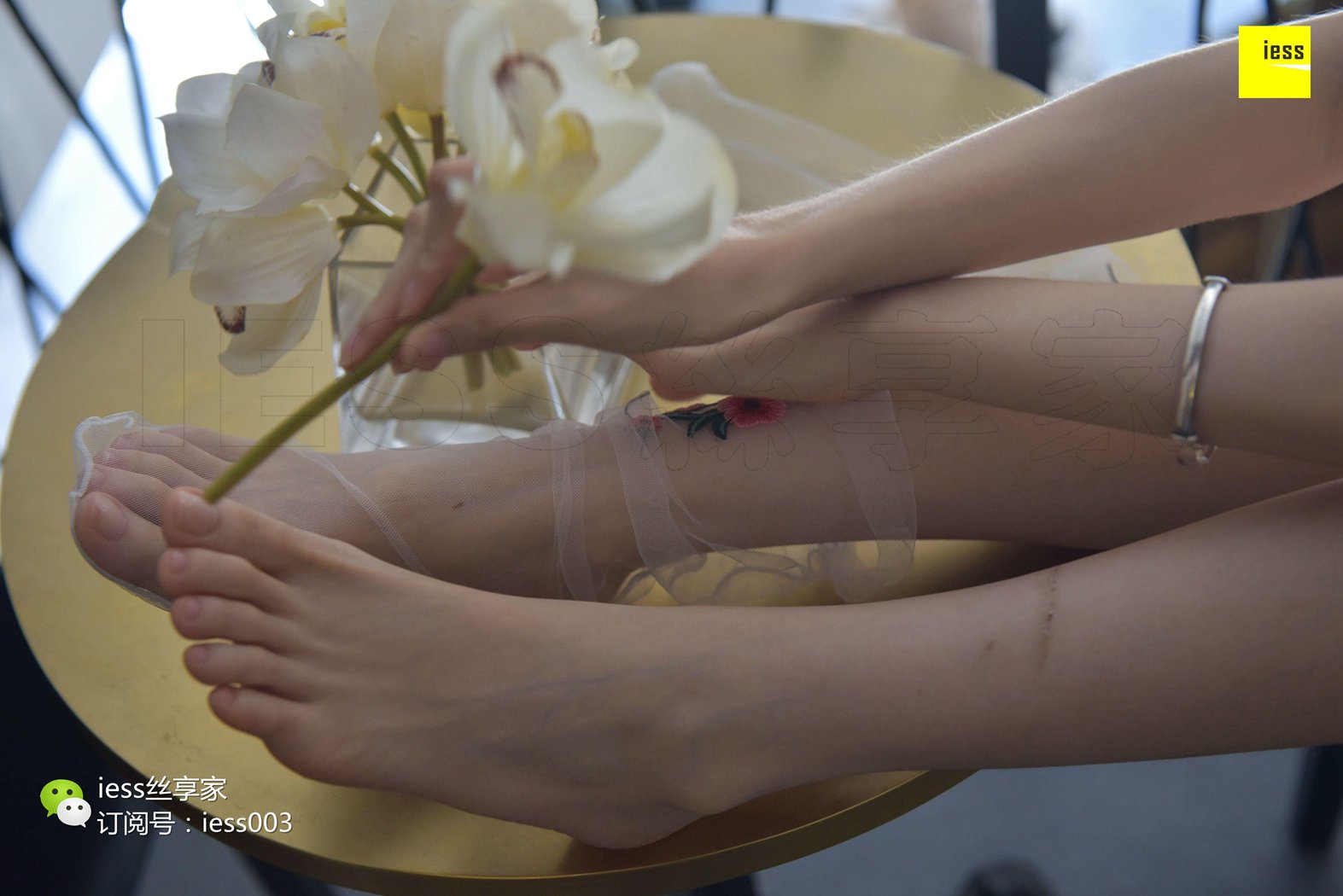 图片[95]-[IESS异思趣向] 2017.08.24 丝享家050：《佳佳佳爷》佳佳 在线浏览 – 速更版-美库