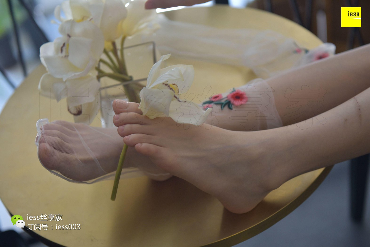 图片[38]-[IESS异思趣向] 2017.08.24 丝享家050：《佳佳佳爷》佳佳 在线浏览 – 速更版-美库