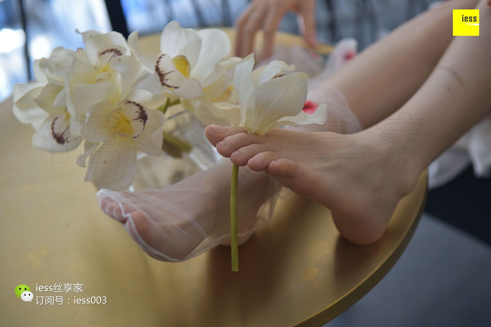 图片[69]-[IESS异思趣向] 2017.08.24 丝享家050：《佳佳佳爷》佳佳 在线浏览 – 速更版-美库