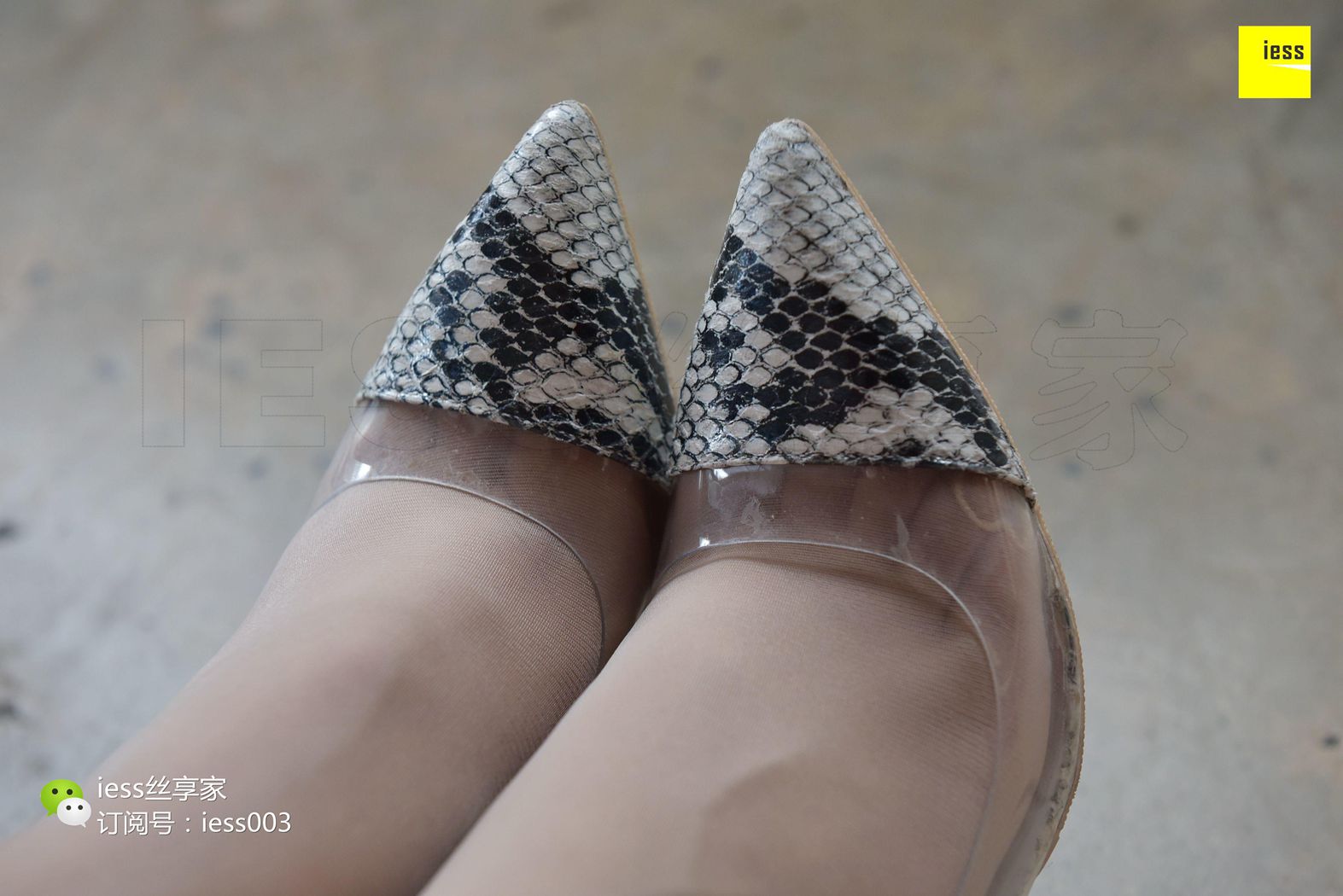 图片[88]-[IESS异思趣向] 2017.08.22 丝享家048：《露趾缝的蛇皮纹高跟》小北 在线浏览 – 速更版-美库