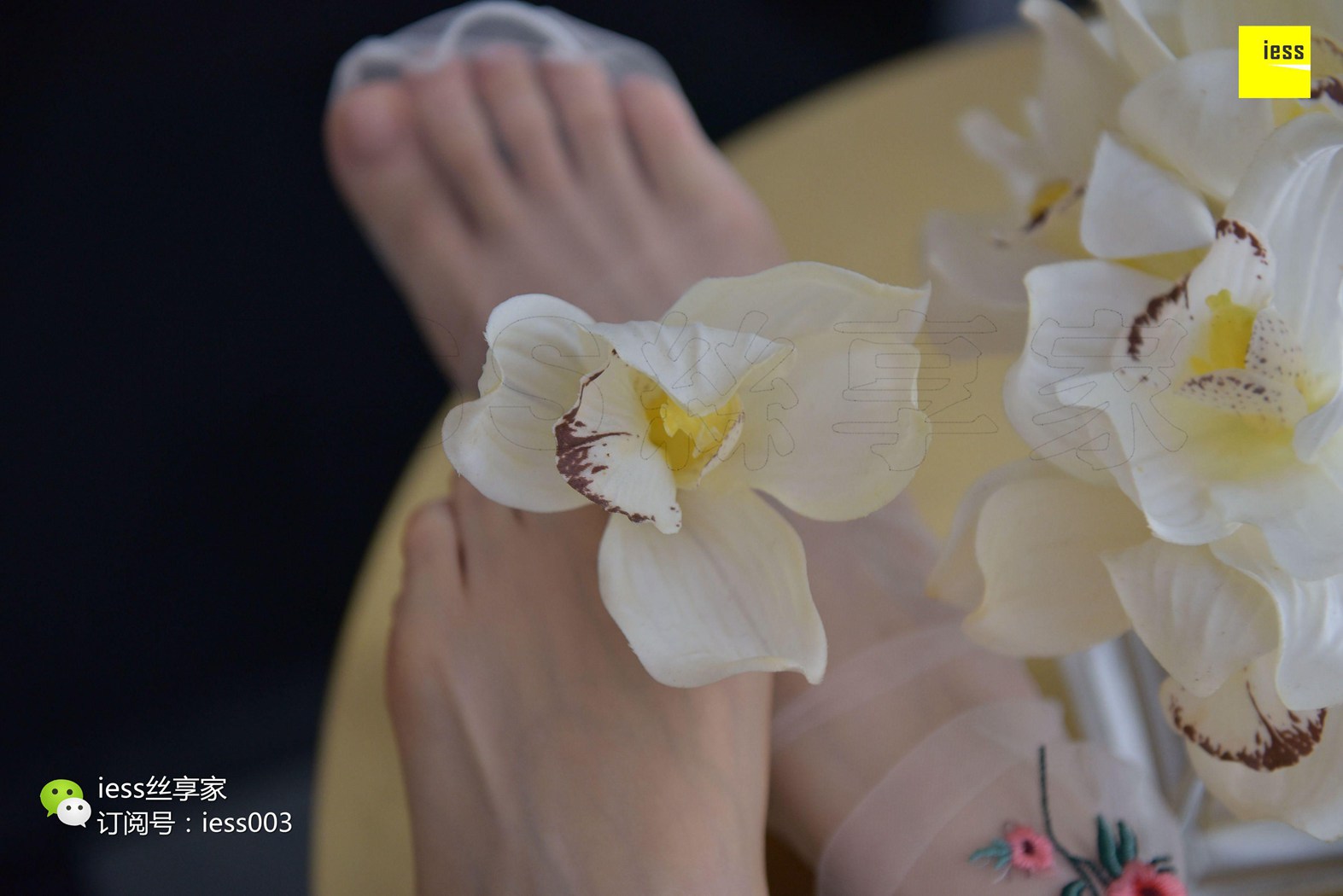 图片[51]-[IESS异思趣向] 2017.08.24 丝享家050：《佳佳佳爷》佳佳 在线浏览 – 速更版-美库