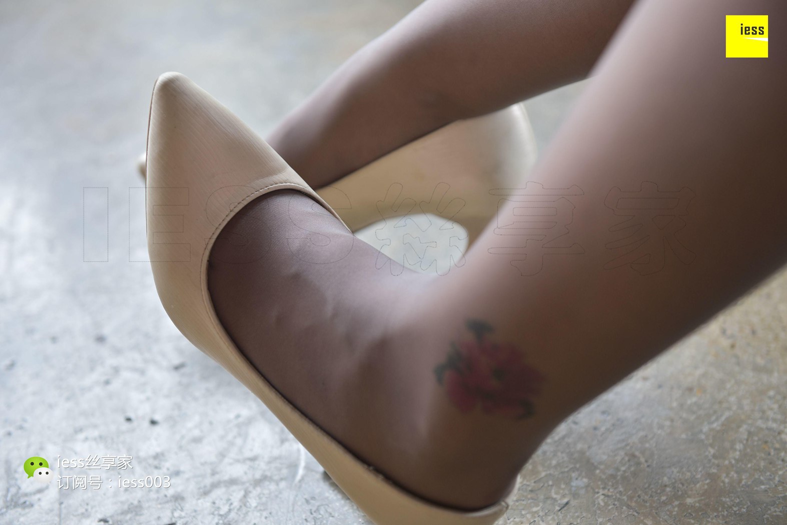 图片[7]-[IESS异思趣向] 2017.09.06 丝享家059：《霸气御姐范灰丝》小北 在线浏览 – 速更版-美库