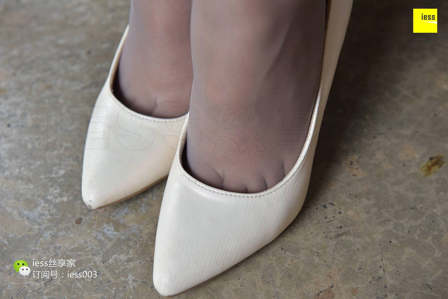 图片[9]-[IESS异思趣向] 2017.09.06 丝享家059：《霸气御姐范灰丝》小北 在线浏览 – 速更版-美库