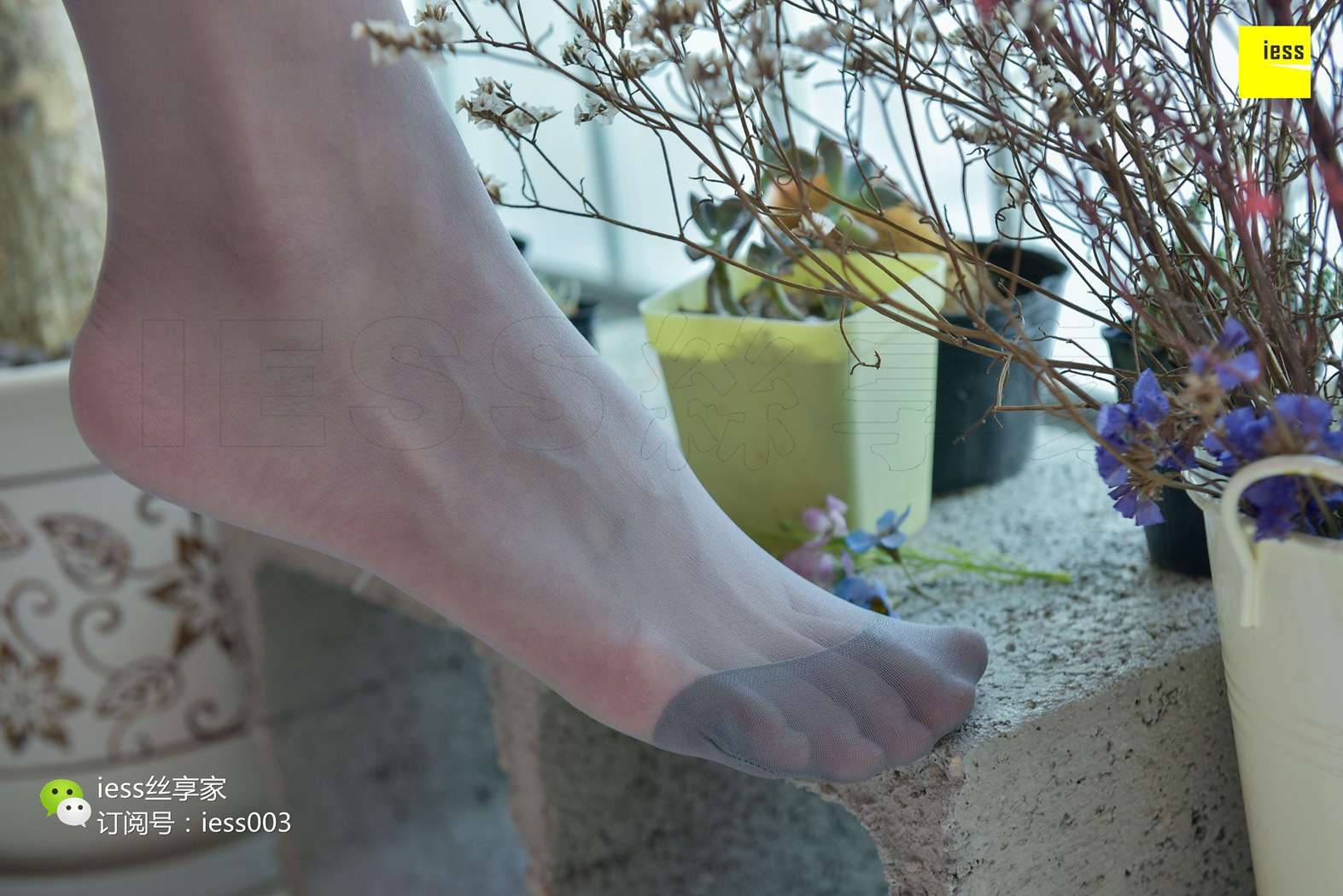 图片[65]-[IESS异思趣向] 2017.09.18 丝享家067：《好辣！真的好辣！》君君 在线浏览 – 速更版-美库