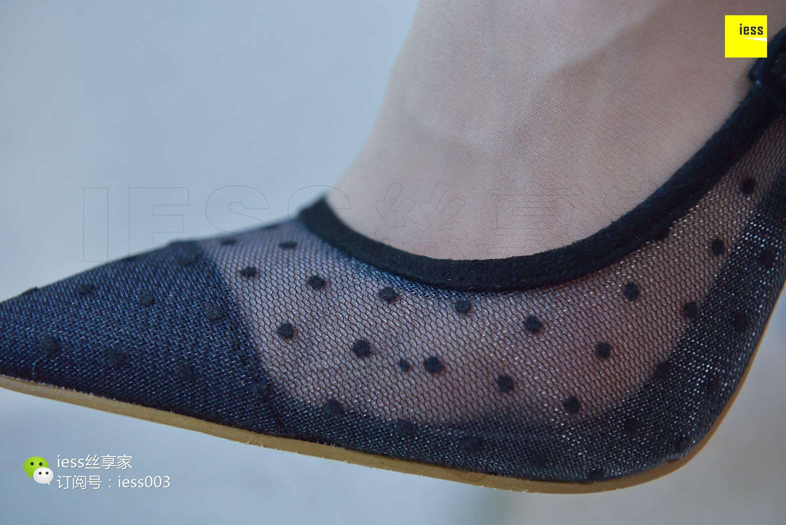 图片[60]-[IESS异思趣向] 2017.10.23 丝享家087：《肉丝波点性感高跟》君君 在线浏览 – 速更版-美库