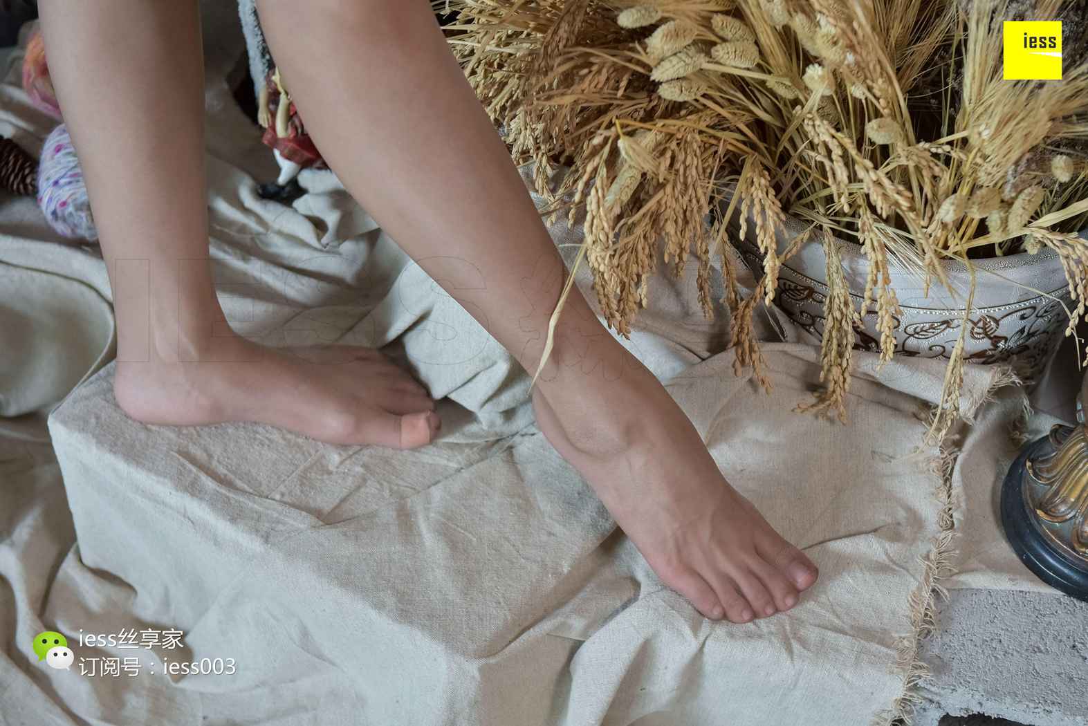 图片[60]-[IESS异思趣向] 2017.10.16 丝享家082：《裸色高跟与棕丝》君君 在线浏览 – 速更版-美库