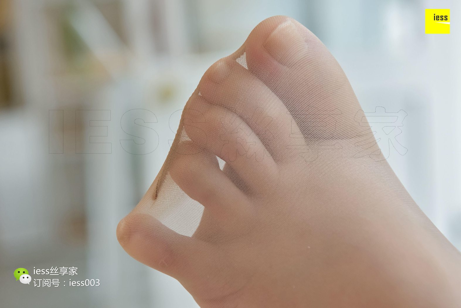 图片[41]-[IESS异思趣向] 2017.10.26 丝享家090：《橱窗里的肉丝美女》文欣 在线浏览 – 速更版-美库