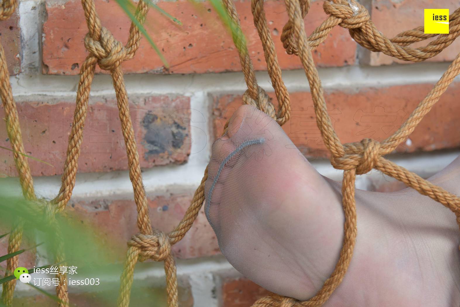 图片[57]-[IESS异思趣向] 2017.11.15 丝享家104：《纹身腿挑逗麻绳》表妹 在线浏览 – 速更版-美库