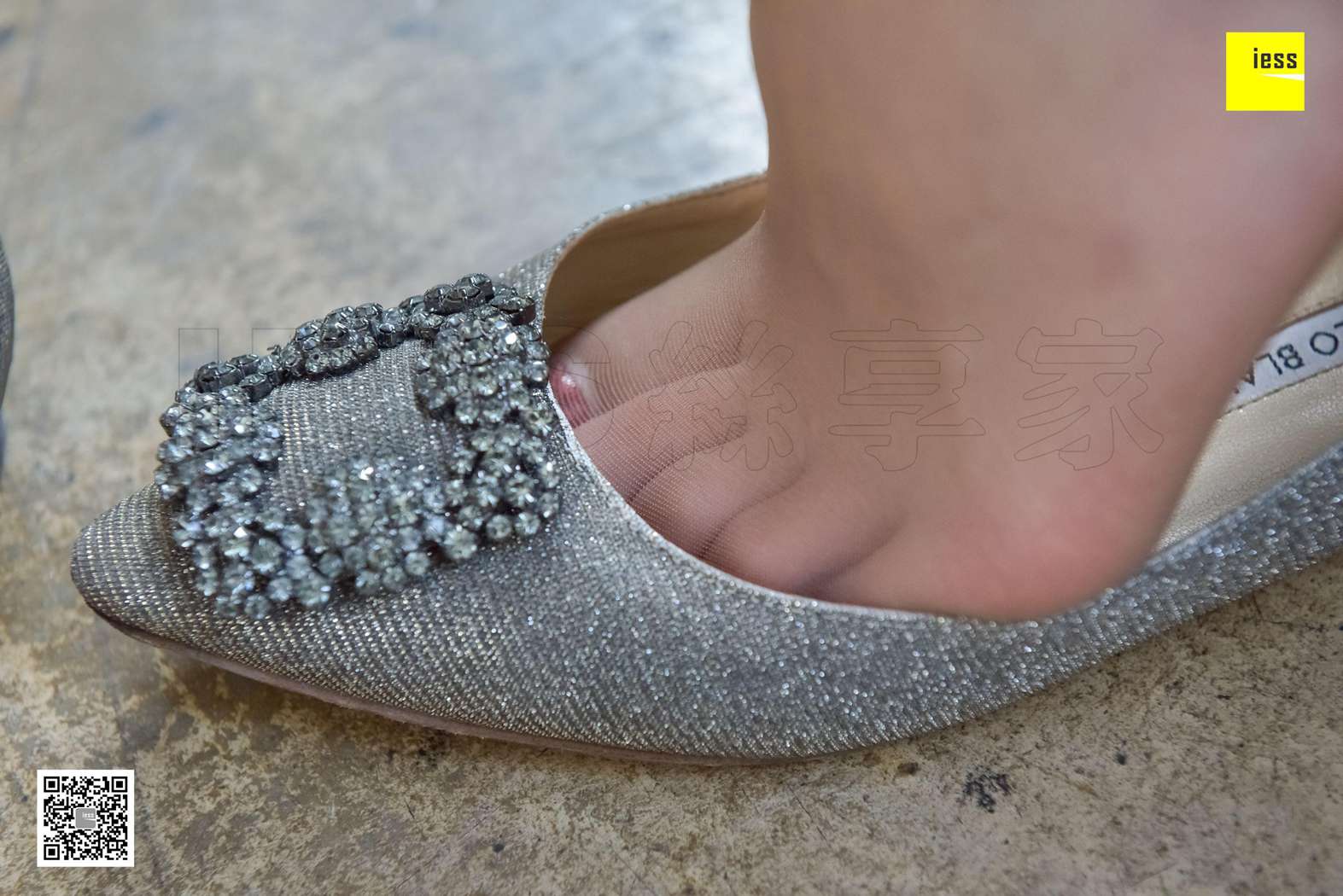 图片[48]-[IESS异思趣向] 2017.11.24 丝享家111：《大长腿咖啡丝平底鞋》七七 在线浏览 – 速更版-美库