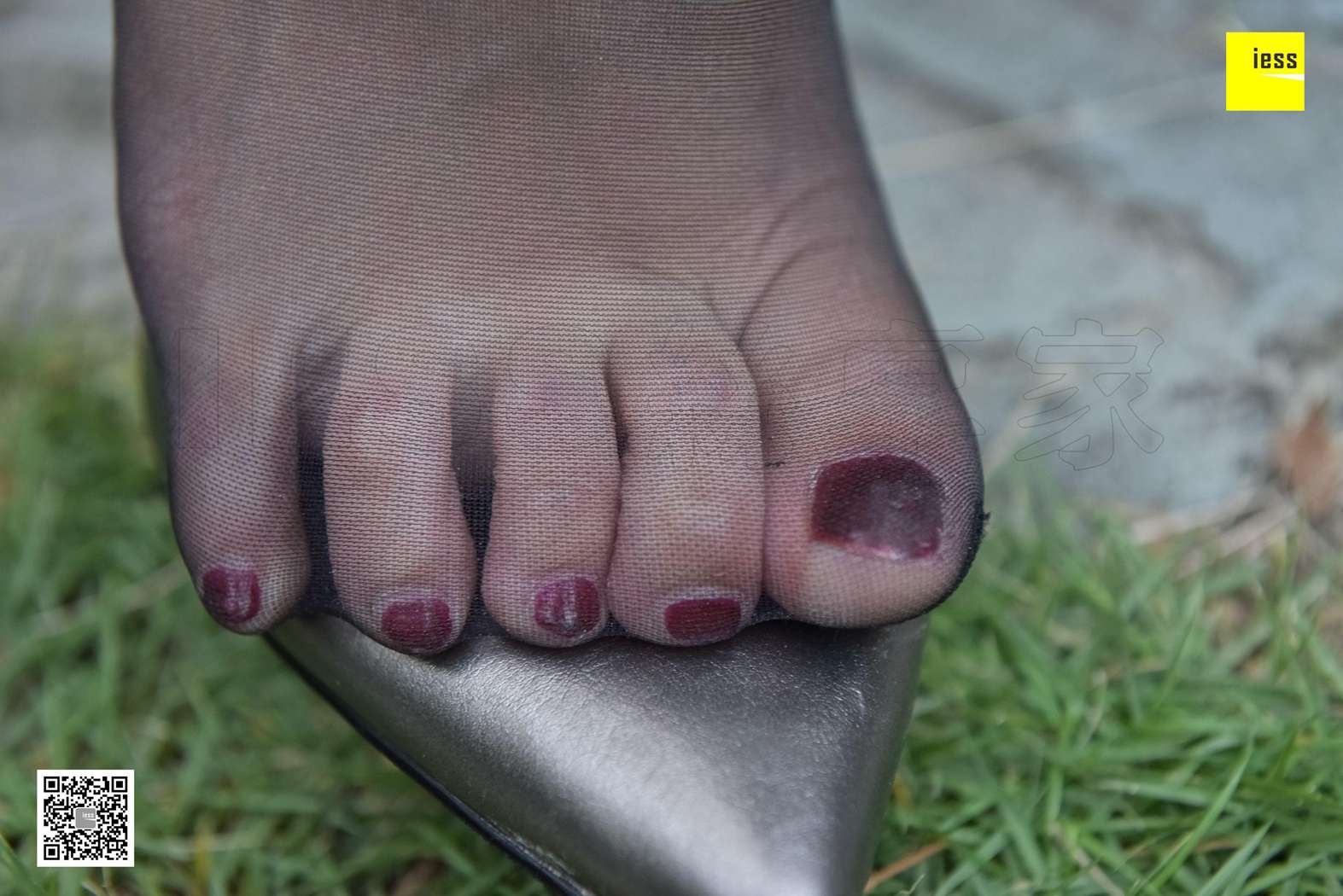 图片[44]-[IESS异思趣向] 2017.11.30 丝享家115：《花园乘凉的黑丝美女》秋秋 在线浏览 – 速更版-美库