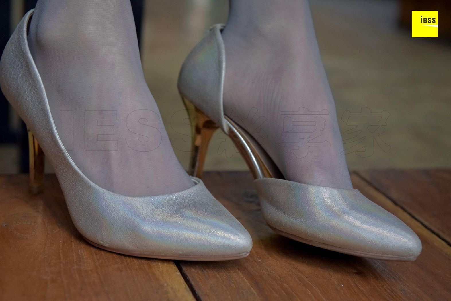 图片[61]-[IESS异思趣向] 2018.01.16 丝享家149：《超直铅笔腿灰丝》永英 在线浏览 – 速更版-美库