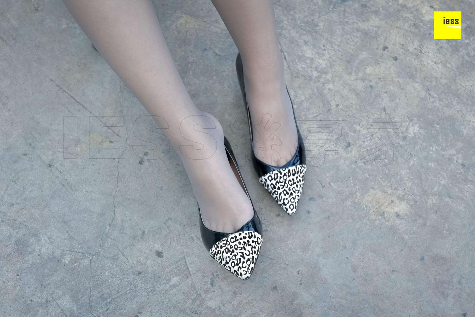 图片[68]-[IESS异思趣向] 2018.01.26 丝享家156：《丰满微肉腿》佳桢 在线浏览 – 速更版-美库