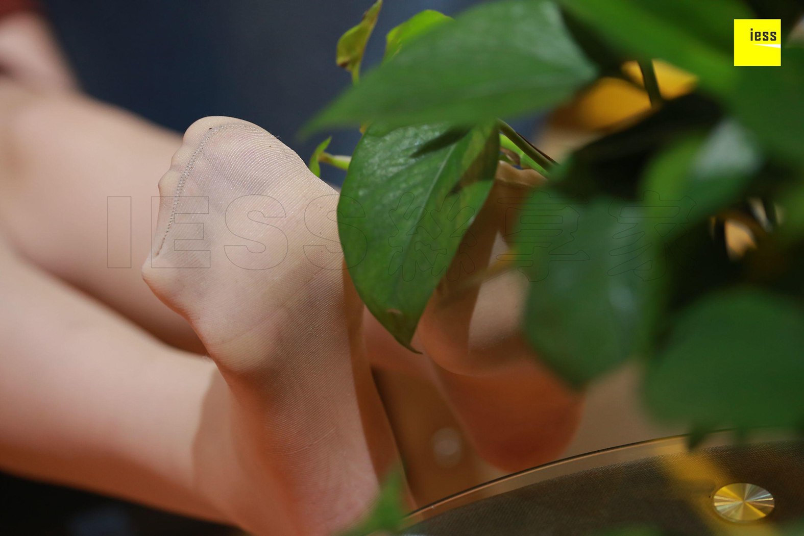 图片[96]-[IESS异思趣向] 2018.01.22 丝享家152：《大长腿的无暇美足》紫紫 在线浏览 – 速更版-美库