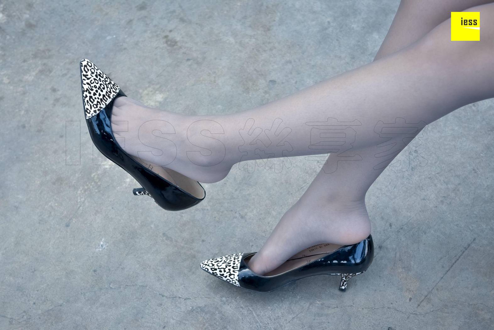 图片[65]-[IESS异思趣向] 2018.01.26 丝享家156：《丰满微肉腿》佳桢 在线浏览 – 速更版-美库