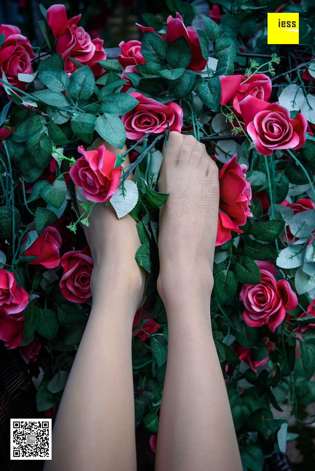 图片[24]-[IESS异思趣向] 2018.02.01 丝享家161：《玫瑰与肉丝》婉萍 在线浏览 – 速更版-美库