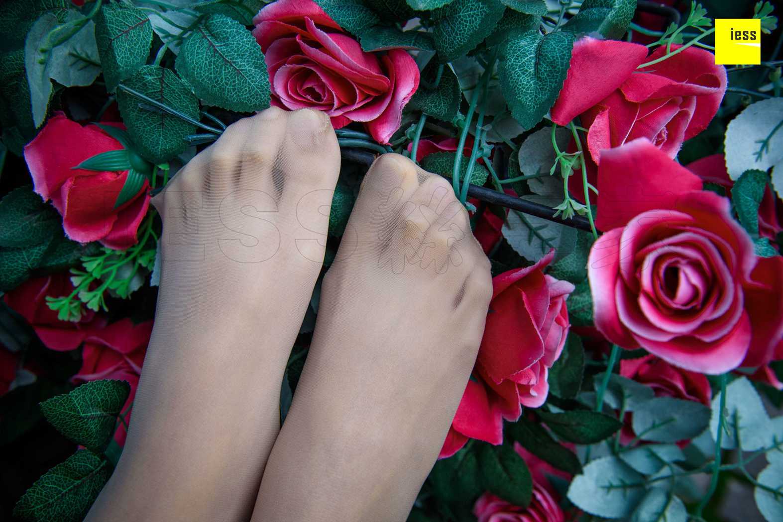 图片[93]-[IESS异思趣向] 2018.02.01 丝享家161：《玫瑰与肉丝》婉萍 在线浏览 – 速更版-美库