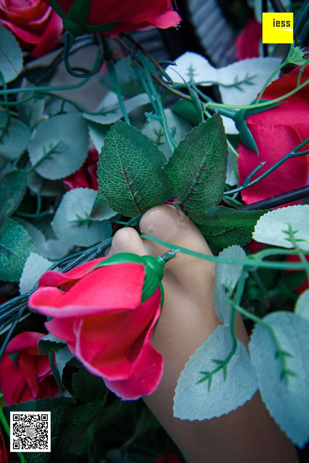 图片[84]-[IESS异思趣向] 2018.02.01 丝享家161：《玫瑰与肉丝》婉萍 在线浏览 – 速更版-美库